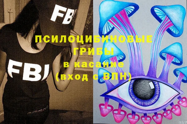 apvp Алексин