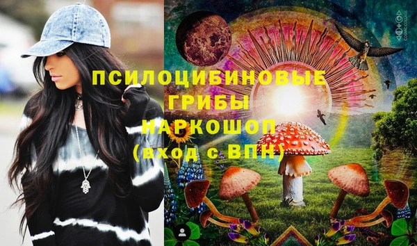 дмт Алексеевка