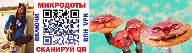 купить   Томск  Галлюциногенные грибы Psilocybe 